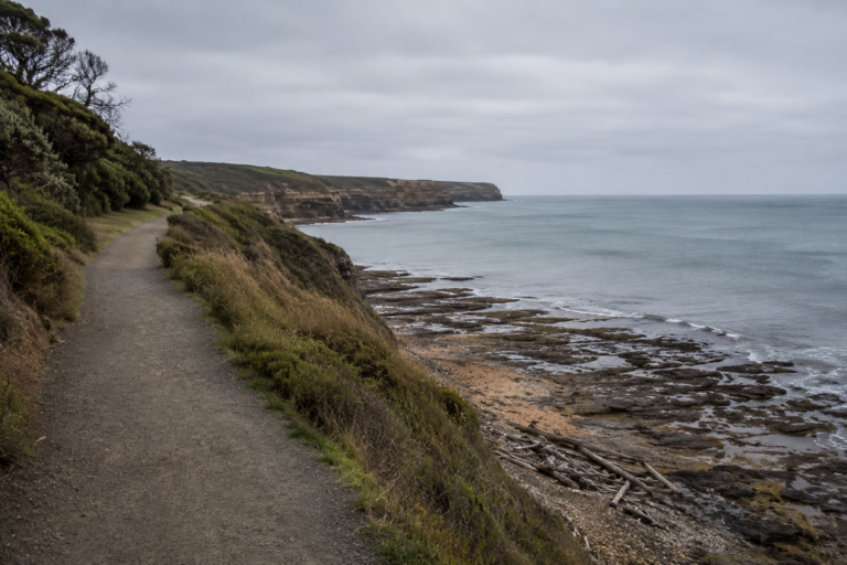 Moody coastal scene along Victoria's Bass Strait, weathered cliffs overlooking grey waters, empty walking path with scattered driftwood, overcast sky creating soft diffused light, realistic photography style with muted colours, sense of solitude and contemplation, wider than tall composition